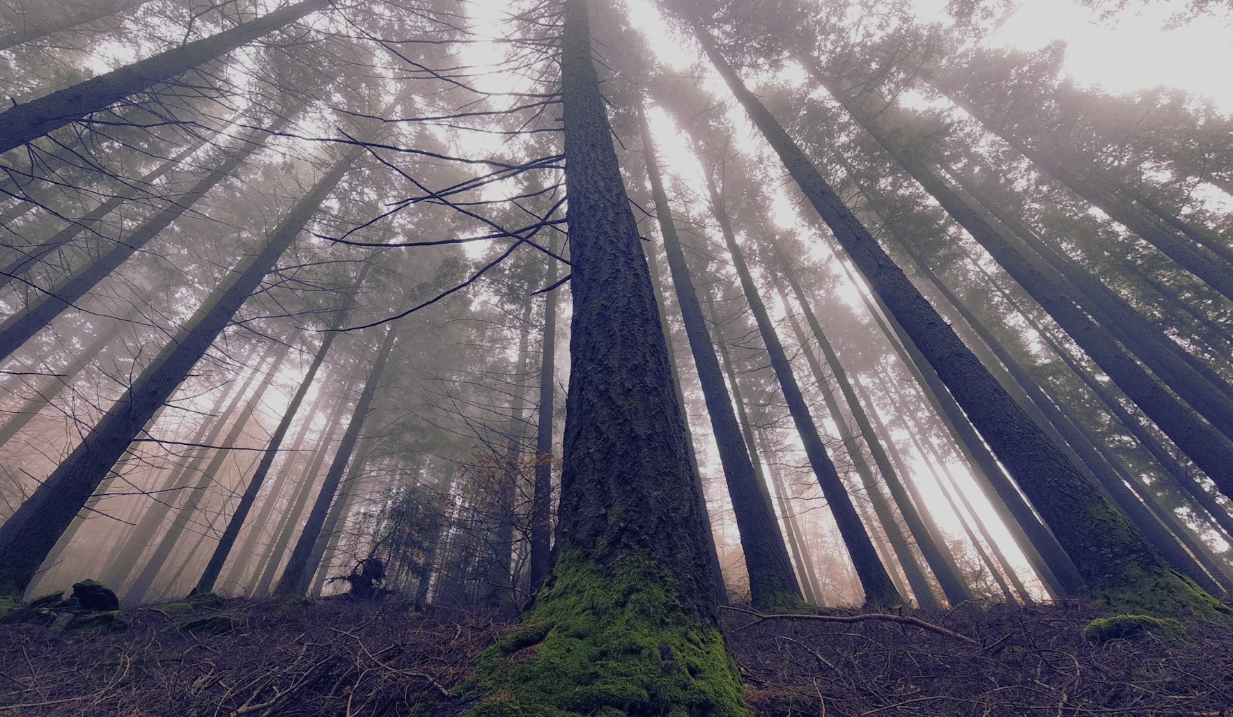 Atividades de Aventura