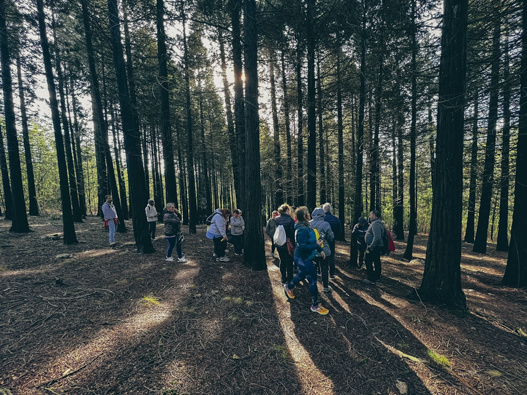 Atividades de Silêncio